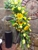 Flowers Of Kingwood - Gift Baskets