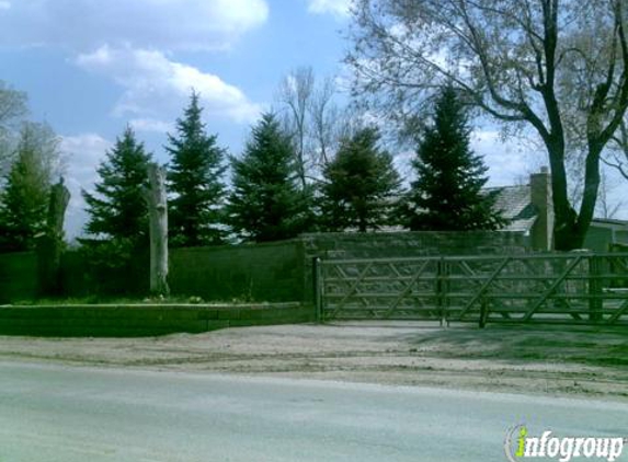 Columbine Tree Transplanting - Littleton, CO