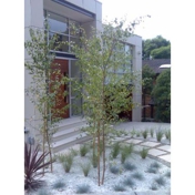 Gallery Image Number 2