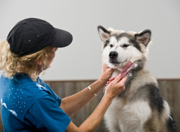 Grimes Dog Grooming - Milledgeville, GA