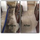 Arizona Steamers - Carpet & Rug Cleaners