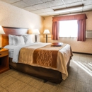 Comfort Inn Butte City Center I-15 / I-90 - Motels