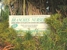 Branches Nursery - Nurseries - Retail
