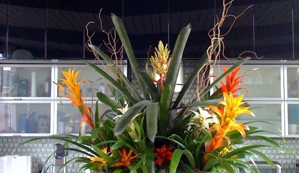 Exotic Plants Ltd. - Sacramento, CA