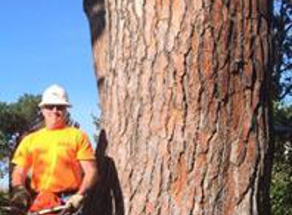 Richards Tree Service Inc. - Yuba City, CA