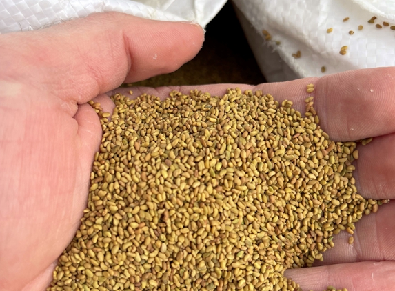 Gem State Seed - Nampa, ID. Alfalfa Seed. Gem State Seed.