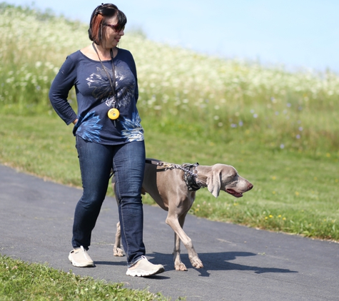 A Closer Bond Dog Training & Learning Center - Wood Street - Palatine, IL