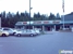 Natures Pet Market Shoreline - Pet Stores