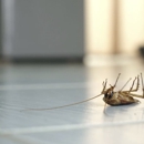 AB Pest Control - Termite Control