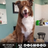 Dogwood Grooming Spa gallery