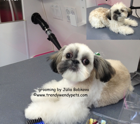 Trendy Wendy Pets Mobile Grooming - Skillman, NJ