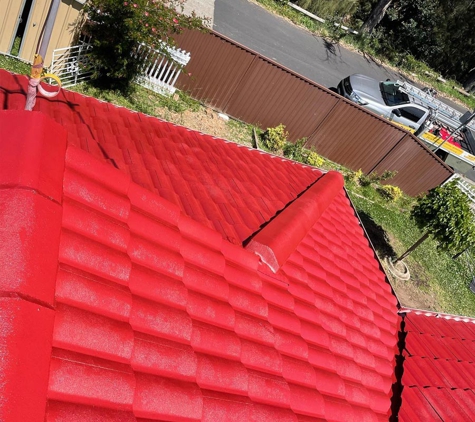 Kiwi Roof Restoration - Smithfield, NSW