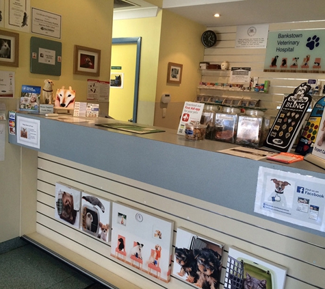 Bankstown Veterinary Hospital - Bankstown, NSW