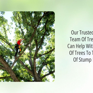 Tree Safe Solutions - Keilor East, VIC. Our Trusted & Friendly Team Of Tree Surgeon's Can Help With The Largest Of Trees To The Smallest Of Stump Removal's