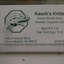 Kasch's Kritters - Pet Stores