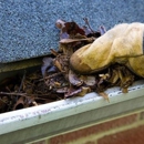 Mr. Gutter LLC - Gutters & Downspouts Cleaning