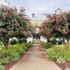Whitaker & Hamer PLLC Clayton Office gallery