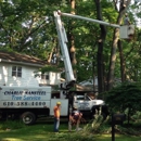 Charlie Nansteel Tree & Excavation LLC - Tree Service