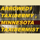 Arrowed 1 Taxidermy