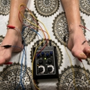 Harvest Acupuncture - Acupuncture