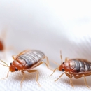 Bold Servicing - Pest Control Equipment & Supplies