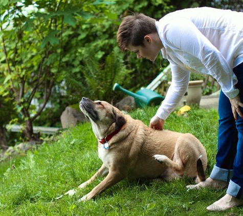 Rover.com Dog Boarding Rochester - Rochester, NY