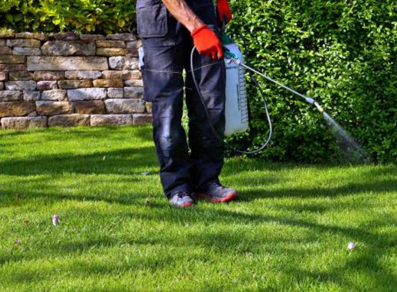 A & A Lawn Care - New Braunfels, TX