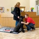 PetSuites of America - Pet Services