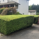 Easy Lawn Care & Landscaping LLC - Lawn Maintenance