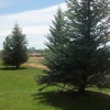 KJ Lawn Maintenance & Spraying Inc gallery
