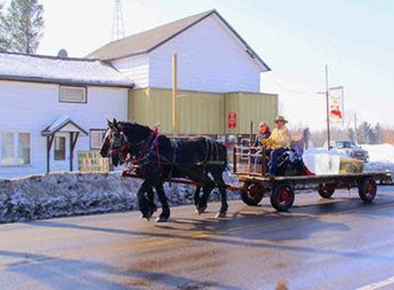 Mike & Betsy's Hiawatha - Junction City, WI