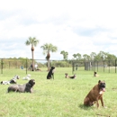 PCF K-9 - Guard Dogs
