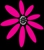 Floral Designs - Florists