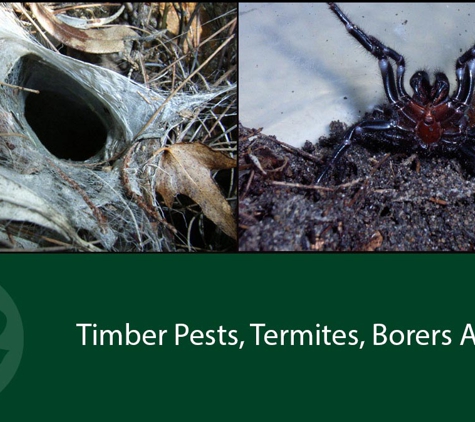 Systems Pest Management Pty Ltd - Thornleigh, NSW. Timber Pests, Termites, Borers And Fungal Decay