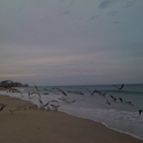 Ft Pierce Inlet State Park - State Parks