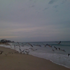 Ft Pierce Inlet State Park