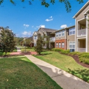Carlton Park Apartment Homes - Apartments
