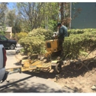 JLG Tree Service