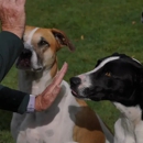 One Mission Dog Training - Fitchburg - Pet Training