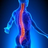 Pflugerville Accident & Injury Chiropractor gallery