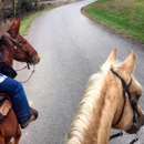 Wartrace Horse Stables - Horse Boarding