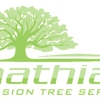 Mathias Precision Tree Service gallery