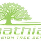 Mathias Precision Tree Service