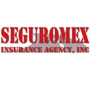 SEGUROMEX INSURANCE AGENCY