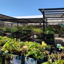 Yamagami's Nursery - Garden Centers