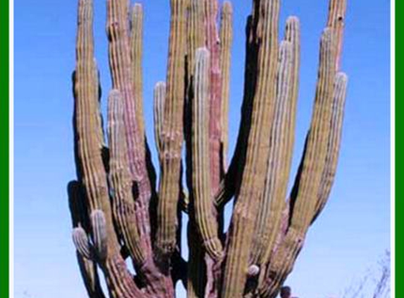 Adobe Transportation - Tucson, AZ