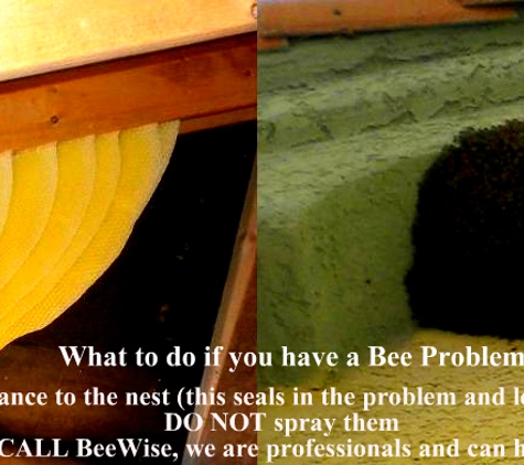 BeeWise Pest Control - Las Vegas, NV