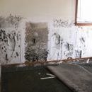 Ace Mold Remediation Garland - Home Builders