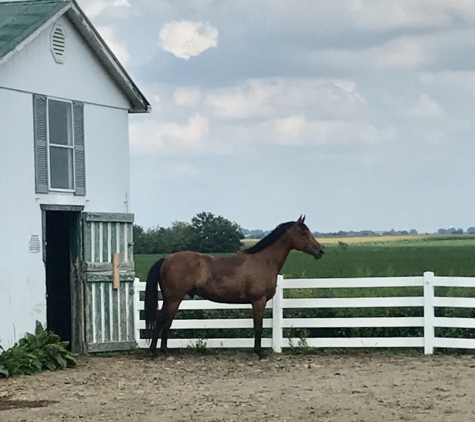 CW Equestrian Center, Inc. - Mascoutah, IL