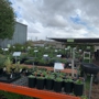 Oaktown Native Plant Nursery